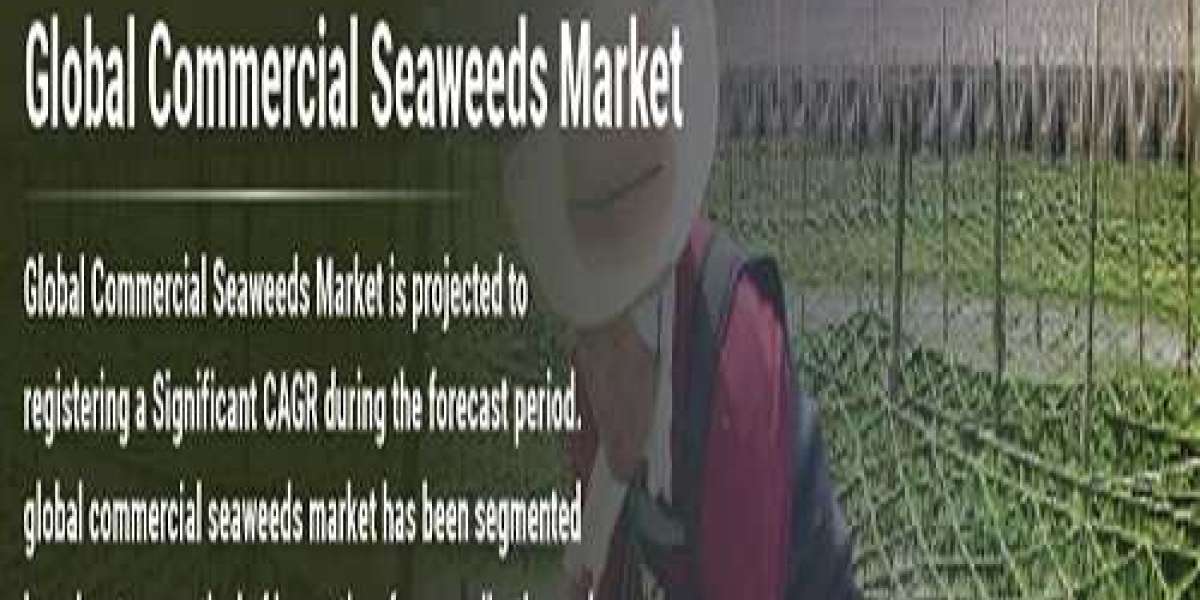 Commercial Seaweed Market Share, Growth Insights 2022 Size, SWOT Analysis, CAGR Value, Regional Segmentations, and Futur