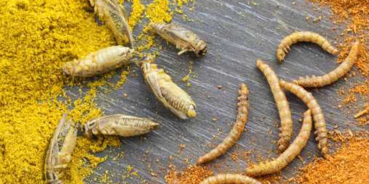 Insect Protein Market Projected To Cross US$ 432 Million by 2030 | CAGR of 21.56%