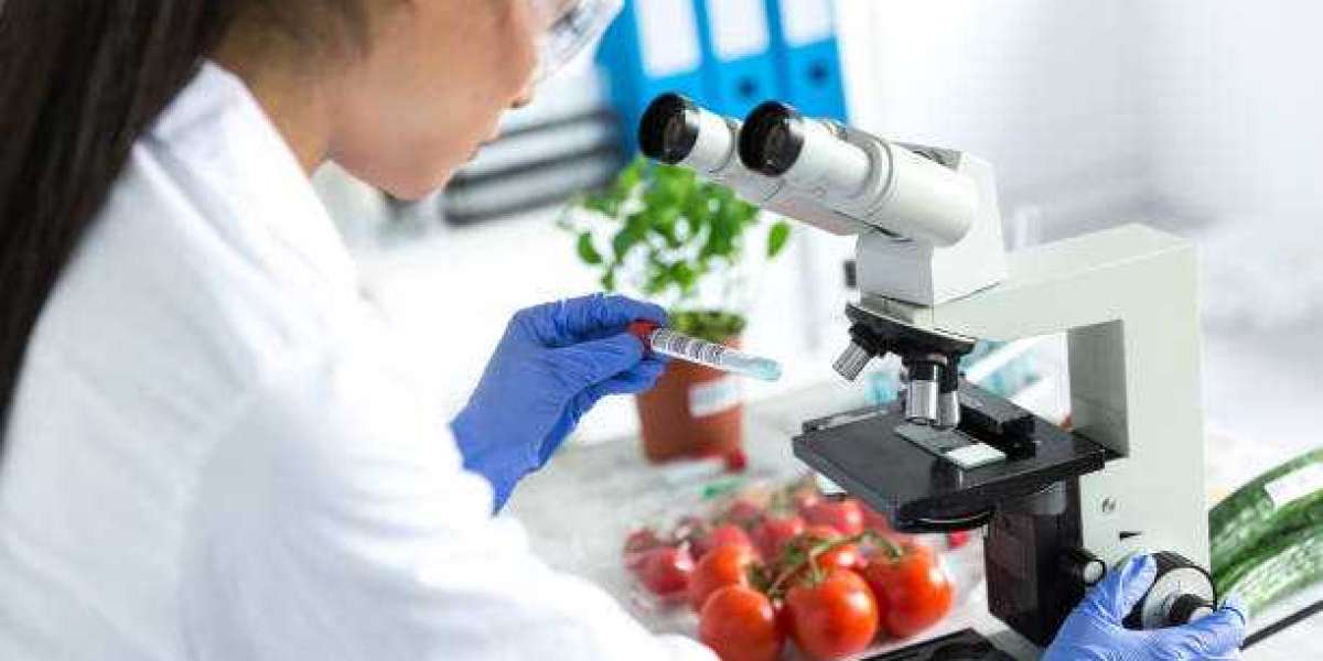 Food Safety Testing Market Size, Share, Growth, Trends, Strategies, Analysis and Forecast 2022 to 2030