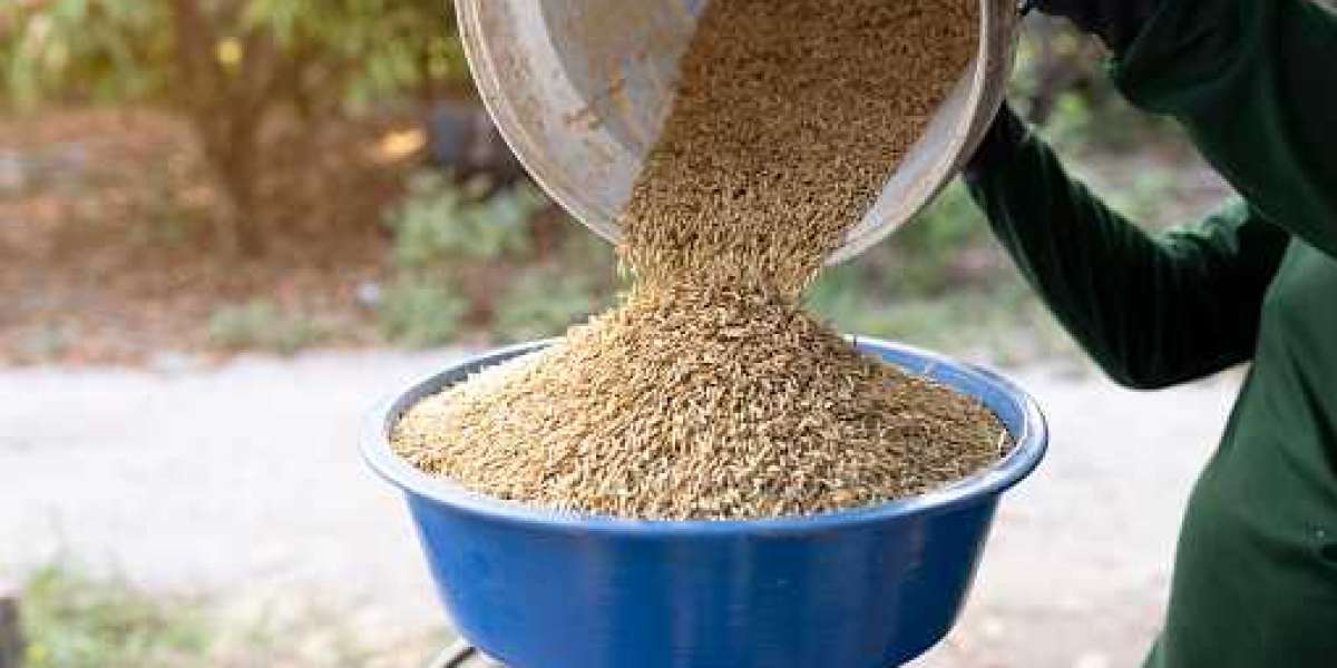 Distillers Grains Market Explosive Growth, Dynamics and Forecast Period