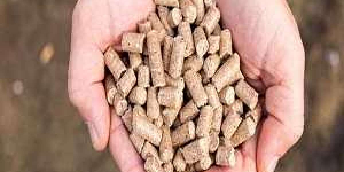 Compound Feed Market Manufacturers Report and Analytical Insights