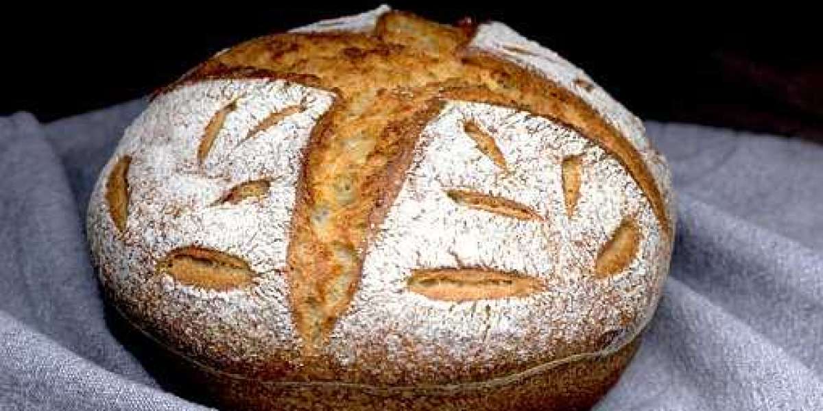 Sourdough Industry 2022 – Outlook, Revenue, Driving Factors and Growth, Forecast to 2030