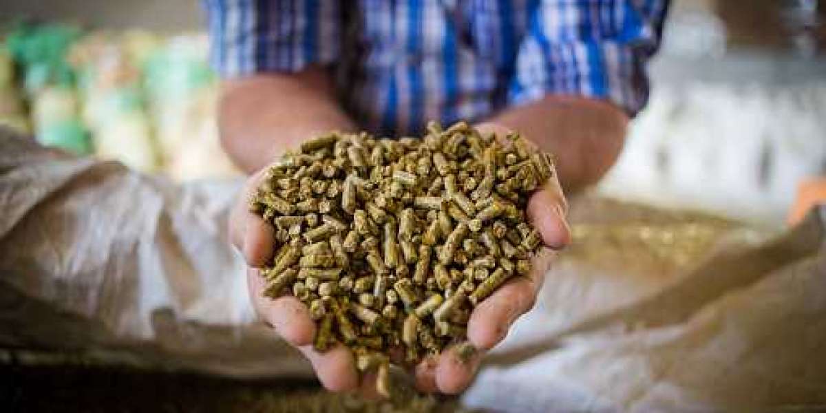 Cattle Feed Market key-Players, Revenue, Emerging-Trends, Business-Strategy