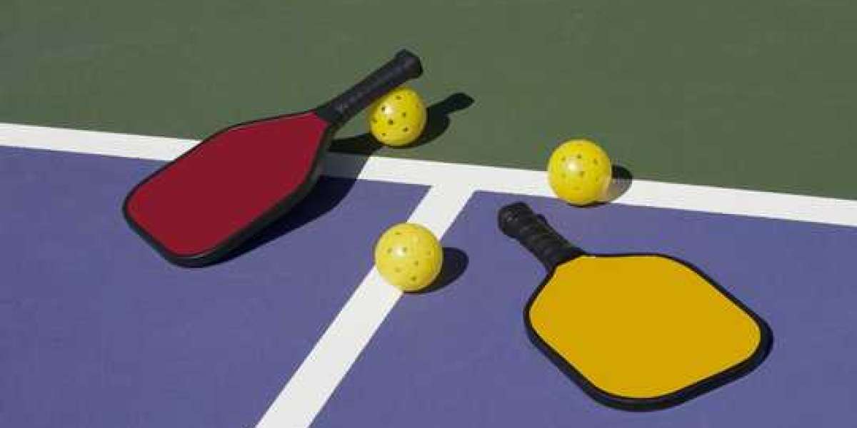 Pickleball paddle set