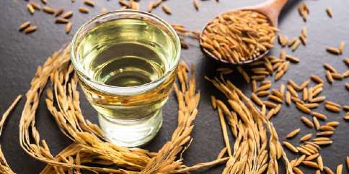 Rice Bran Oil Market Development Strategy, Gross Margin, Revenue, and Investment Opportunities till 2030