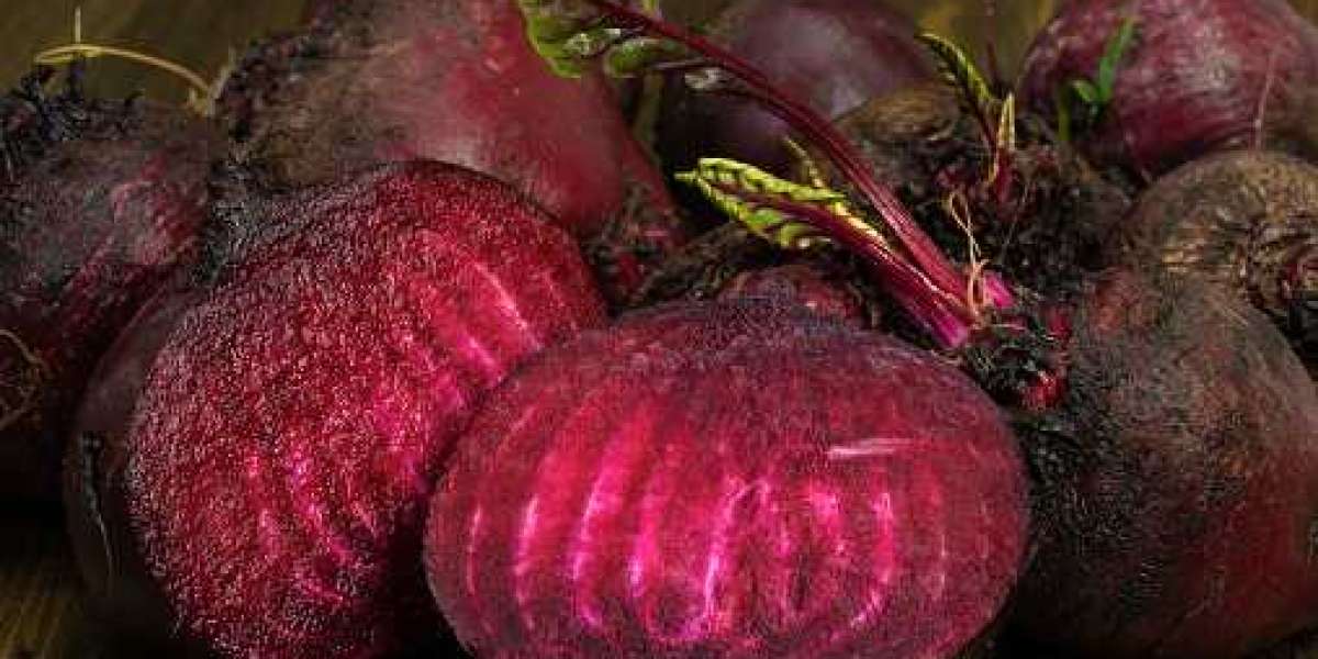 Betaine Market By Distribution Channel, By Region and Analysis