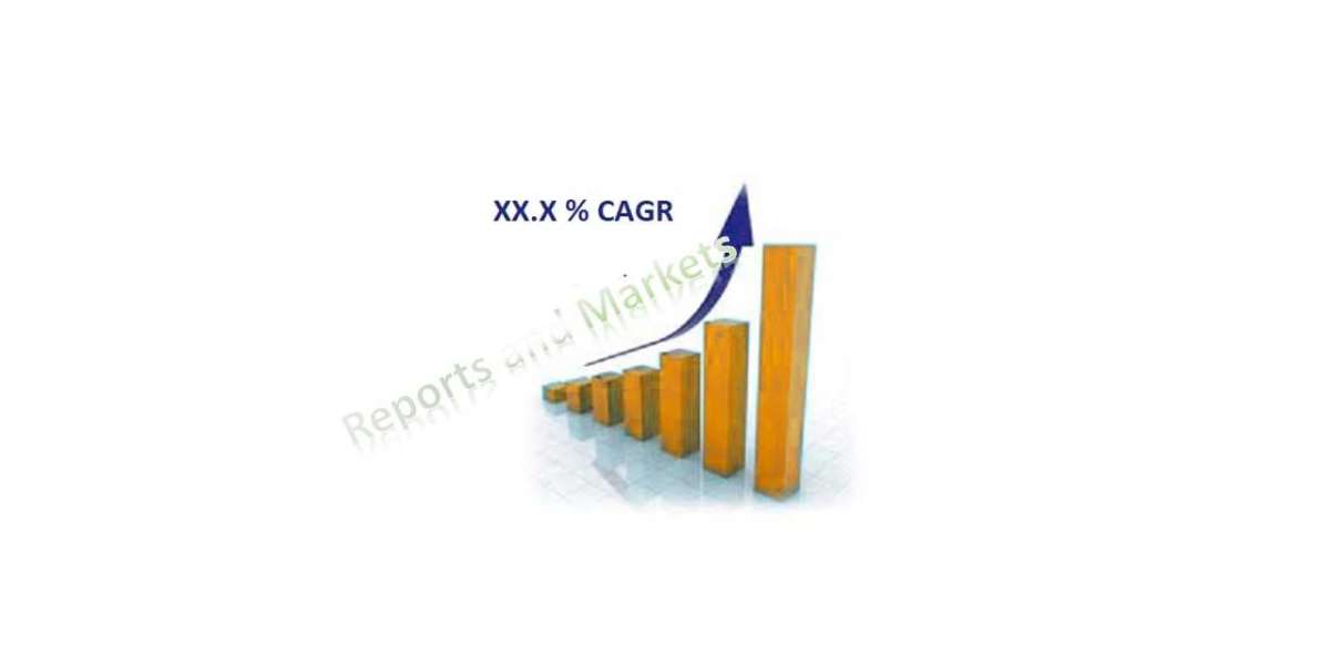 Fruit Hardness Tester Market Size and Share to See Modest Growth Through 2028