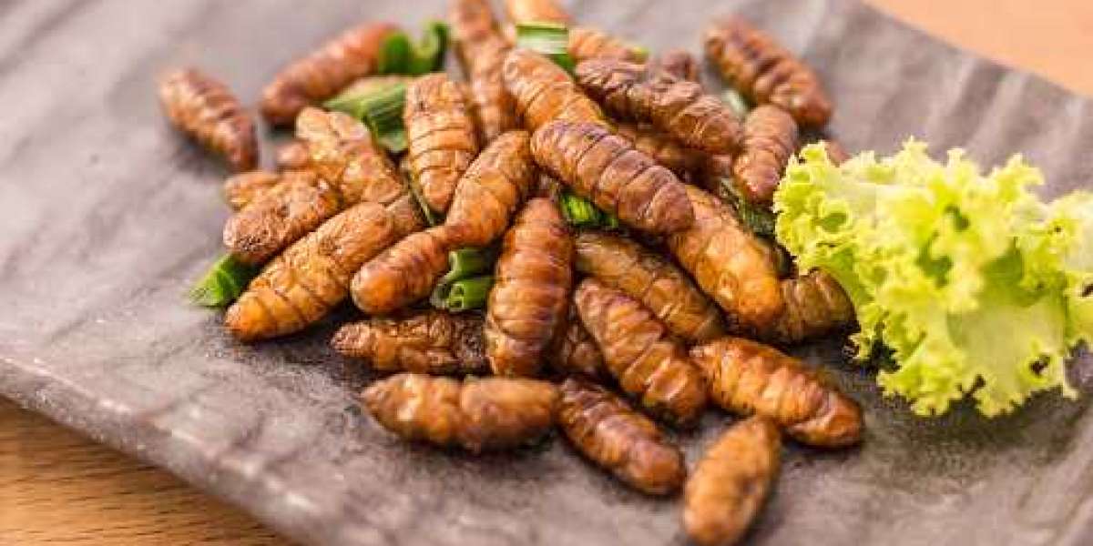 Edible Insects Market Business Prospect, Forecast, Key Player, Geographical Overview