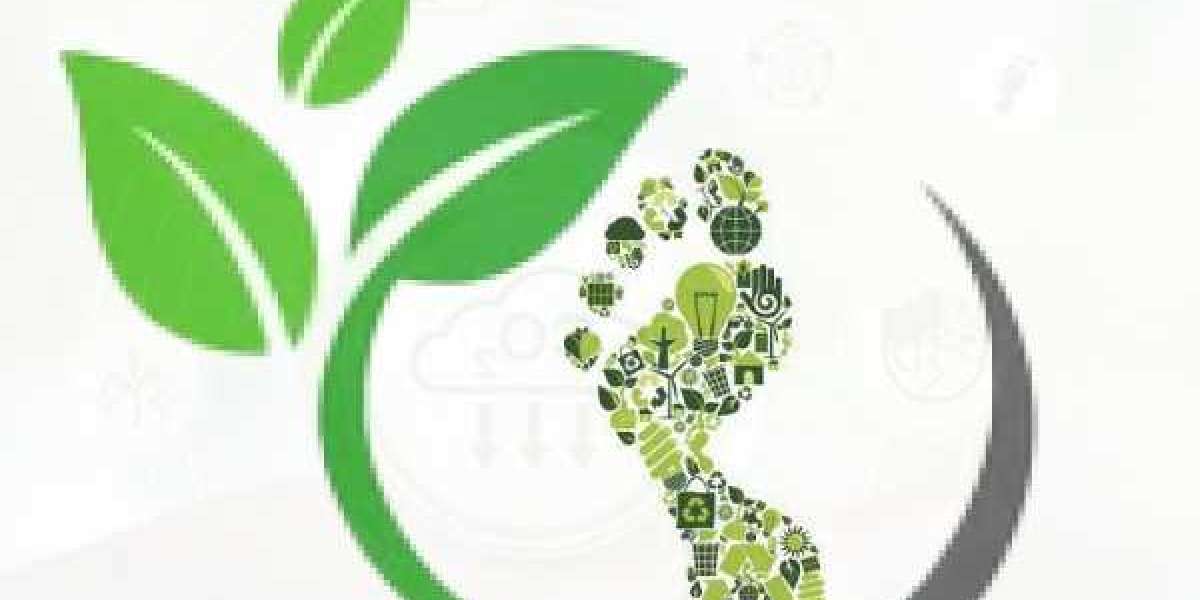 Global Carbon Footprint Management Market Key Players, Trends, Sales, Supply, Demand, Analysis and Forecast 2029