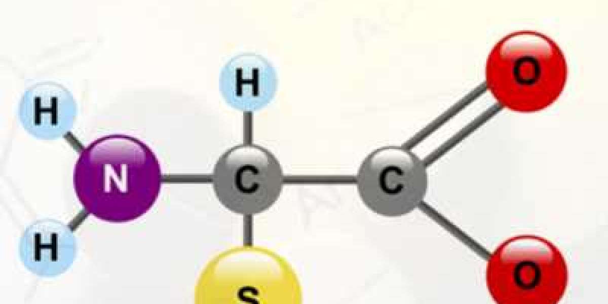 Chemoinformatics Market  Trends, Leading Players and Forecast 2032