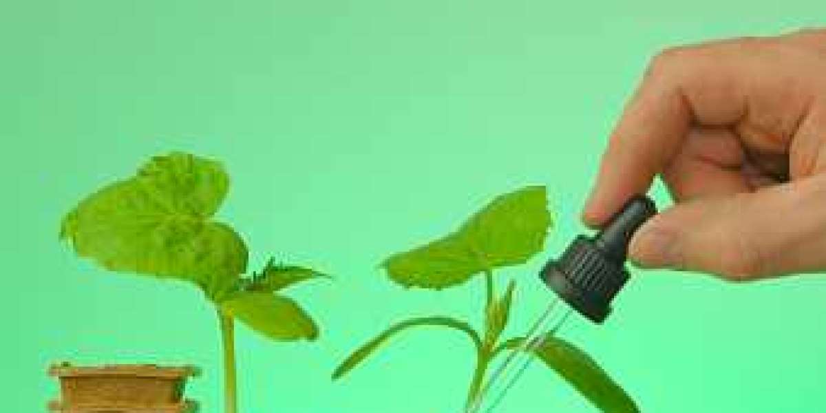 Plant Activators Market Size by Competitor Analysis, Regional Portfolio, and Forecast