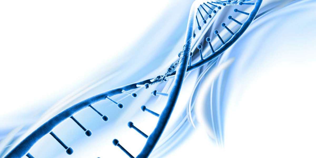 Epigenetics Market - Analysis And In-Depth Research On Market Size, Trends, Emerging Growth Factors And Forecast To 2031