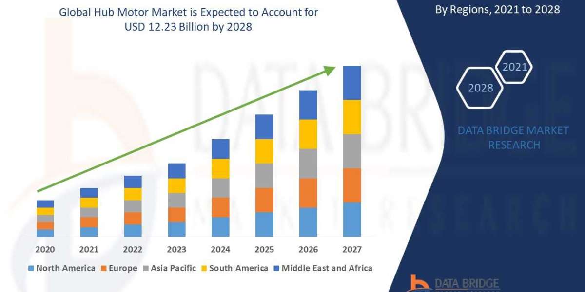 Hub Motor Market Growth Trends, Scope, growth, Size, Intelligence, Challenges, & Customization Available for Forecas