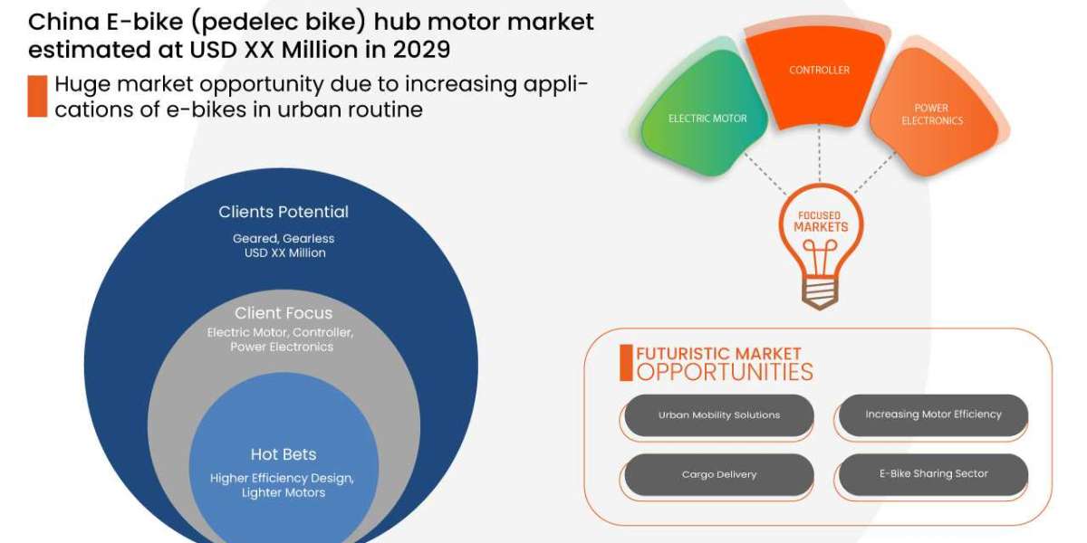 China E-Bike (Pedelec Bikes) Hub Motor Market Growth, Industry Size-Share, Global Trends, Key Players Strategies, Scope,