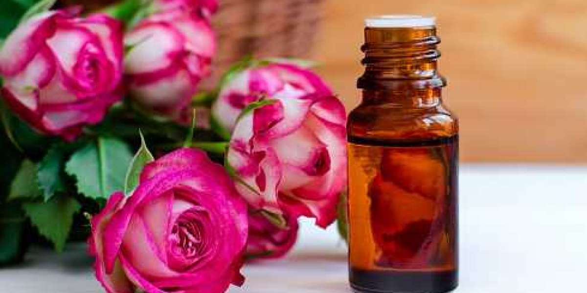 Rose Oil Market Insights of Competitor Analysis, Regional Portfolio, Segmentation, and Forecast