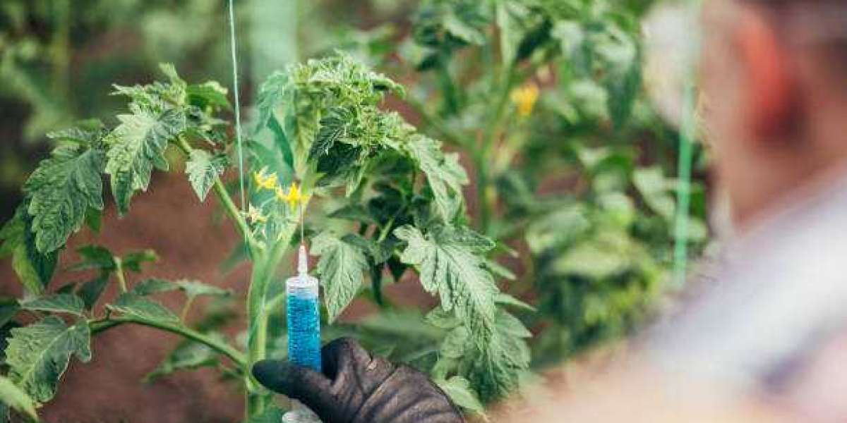 Biorational Pesticides Market Research, Industry Trends, Supply, Sales, Demands, Analysis And Insights