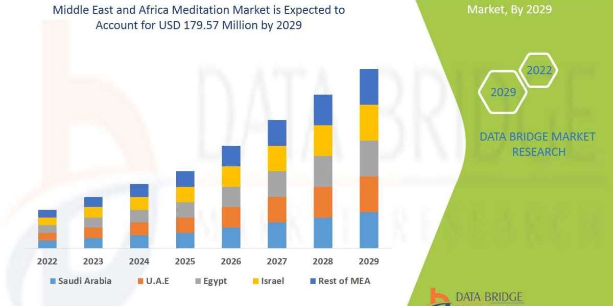 Middle East and Africa Meditation Market Advertising Industry Segmentation