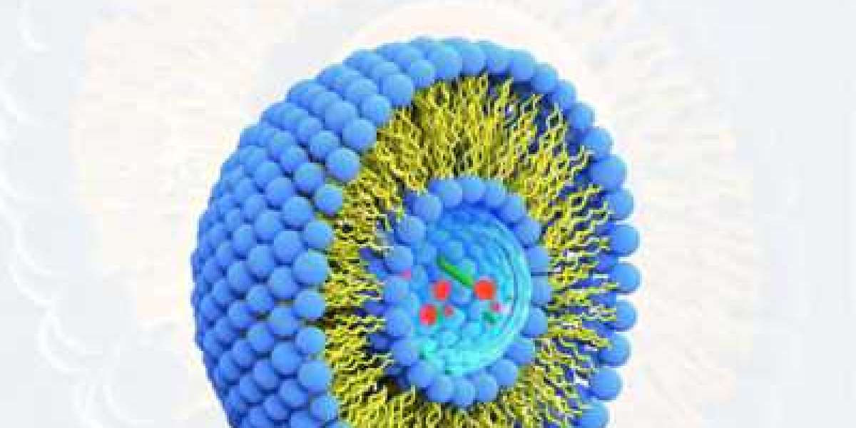 Liposome Drug Delivery Market Analysis On Trends 2029