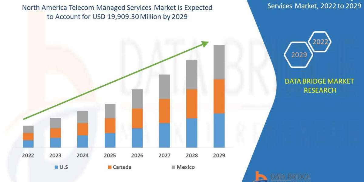 North America Telecom Managed Services Market to Witness Notable Growth by Forecast Period | 2029