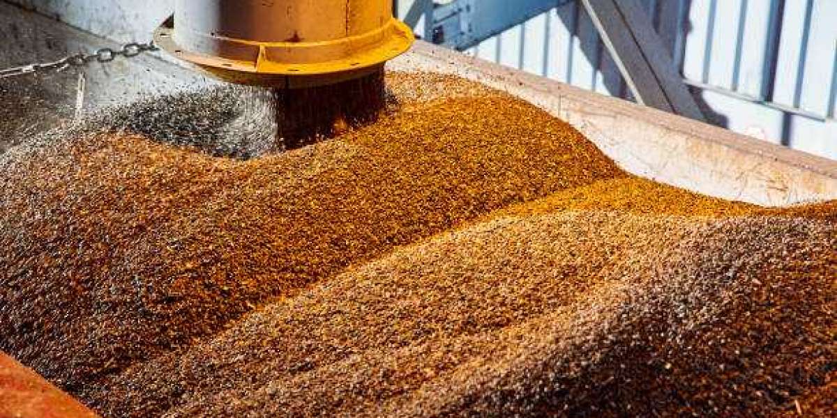 Seed Coating Materials Market Report, Growth, Restraints, Trends, Company Profiles, Analysis & Forecast Till 2030