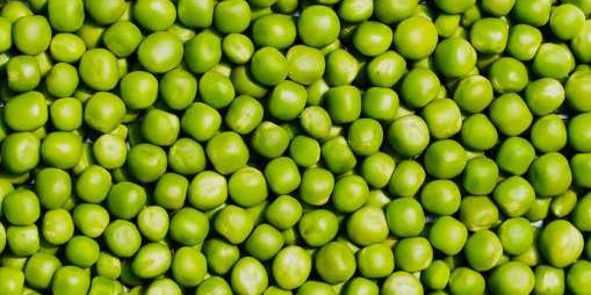 Pea Starch Market Share with Emerging Growth of Top Companies | Forecast 2030