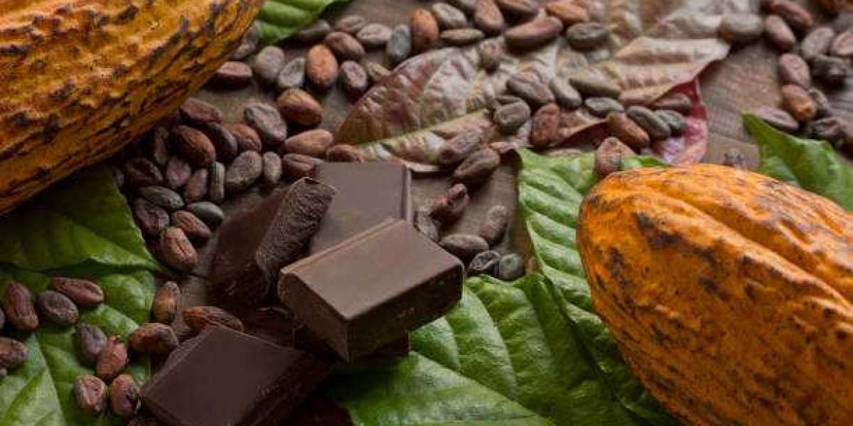 Organic Chocolate Market Report Analysis, Revenue Share, Company Profiles, Launches, & Forecast Till 2030