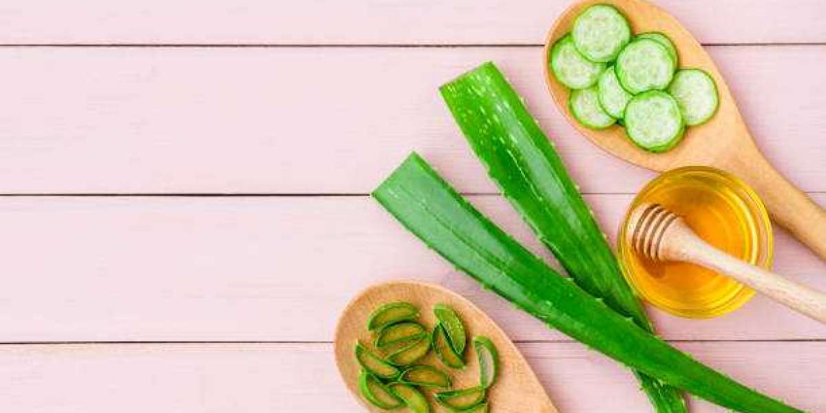 Aloe Vera Products Market Report, Trends and Factors, Regional Share Analysis & Forecast Till 2030