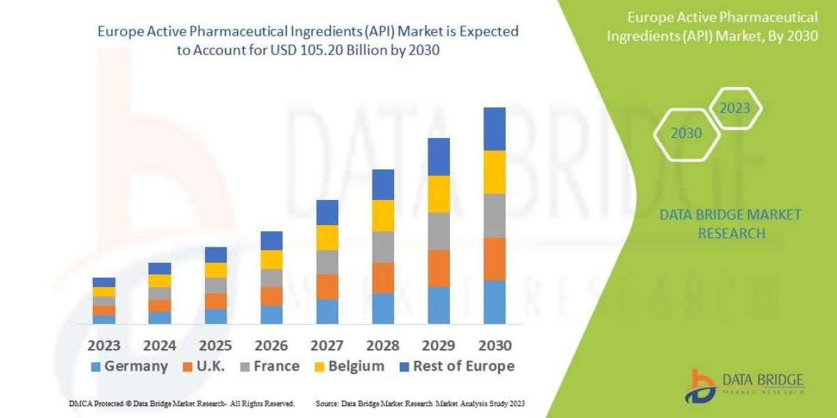 Europe Active Pharmaceutical Ingredients (API) Market Future Scope and Growth Factors