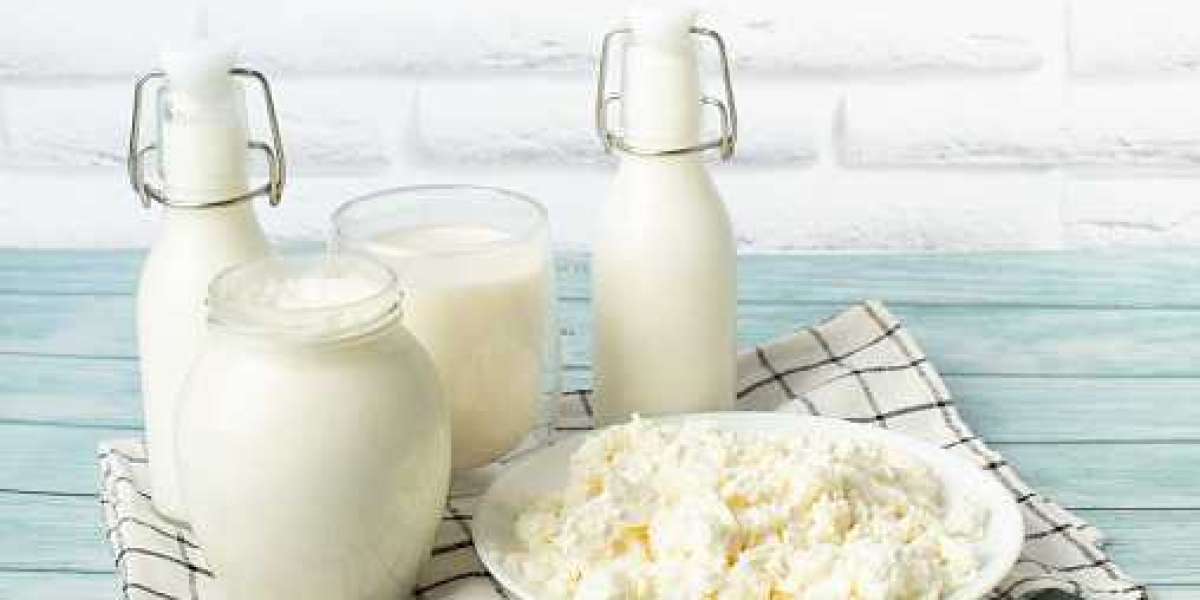 Goat Milk Products Market Size by Competitor Analysis, Regional Portfolio, and Forecast 2030