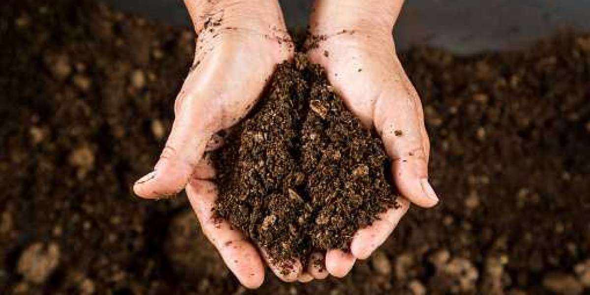 Key Peat Market Players Business Opportunities, Current Trends, Challenges and Global Industry Analysis