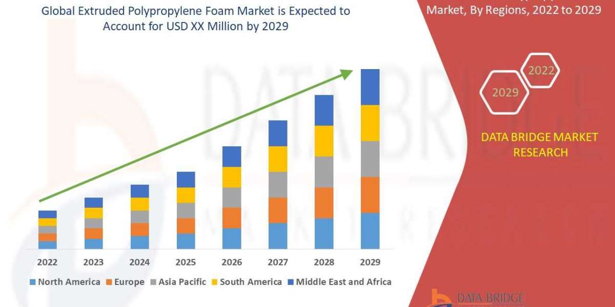 Extruded Polypropylene Foam Market Latest Innovations, Drivers and Industry Key Events Over 2029