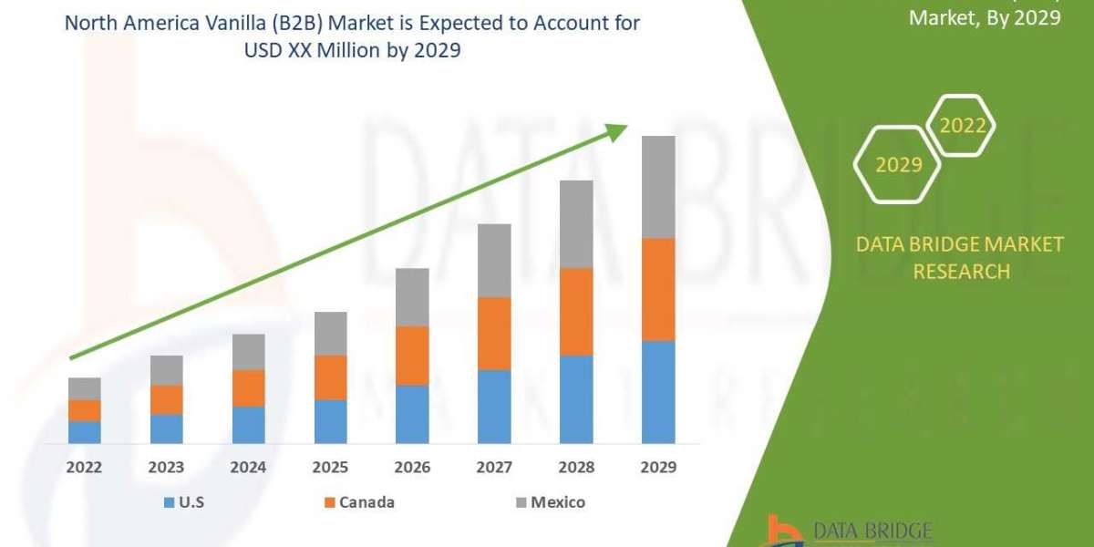 North America Vanilla (B2B) Market Overview, Technological Innovations with Economic Indicators By 2029