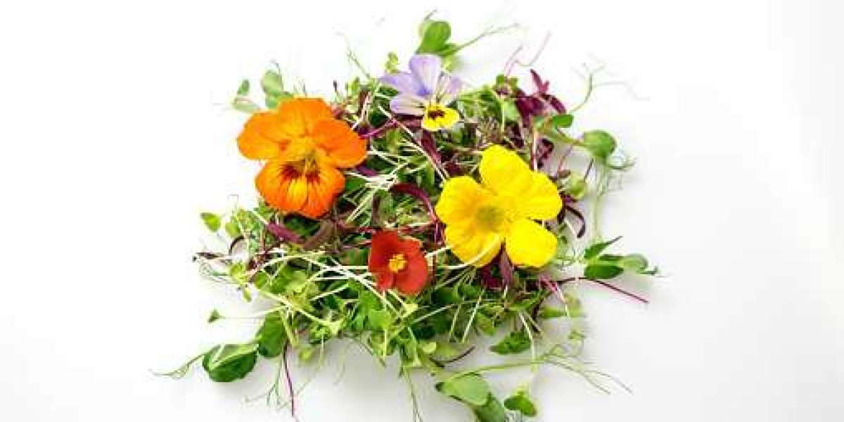 Edible Flowers Market Trends by Product, Key Player, Revenue, and Forecast 2030