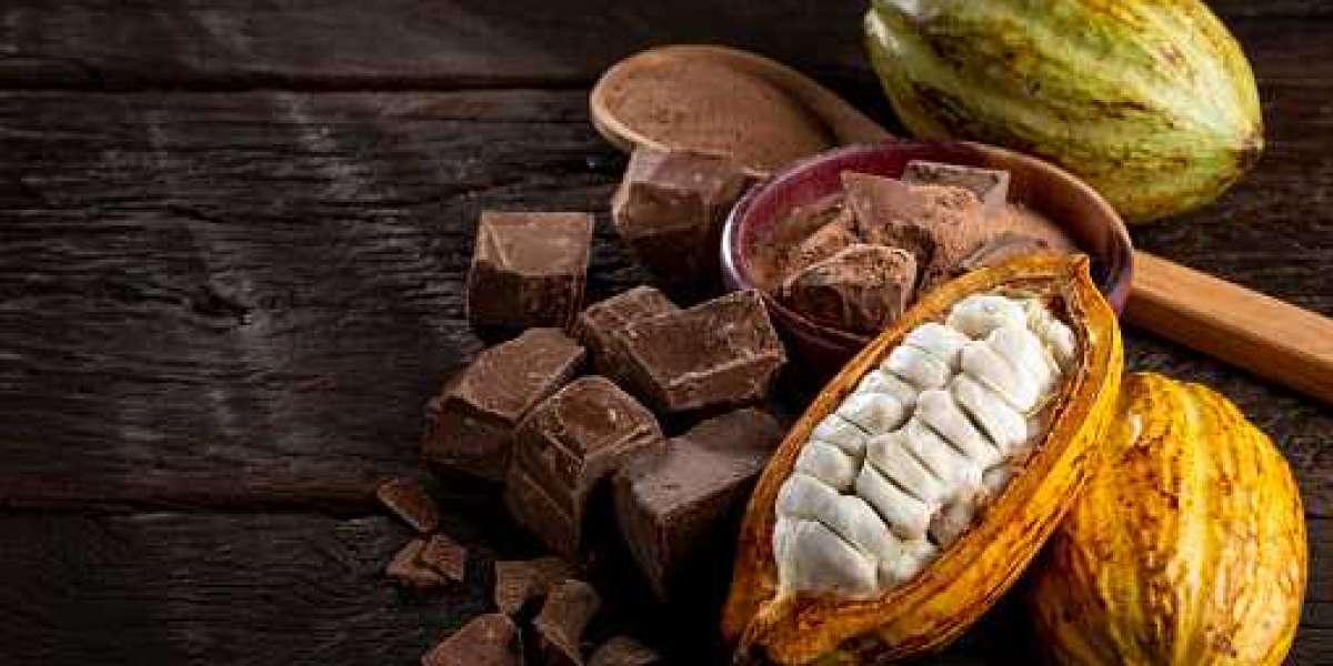 Cocoa Chocolate Market Insights: Drivers, Opportunities, Key Players, and Forecast 2030