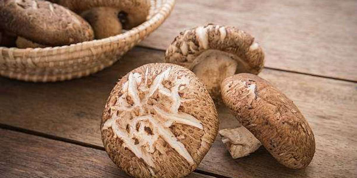 Shiitake Mushroom Market Size Business Strategies, Emerging Technologies and Future Growth Study