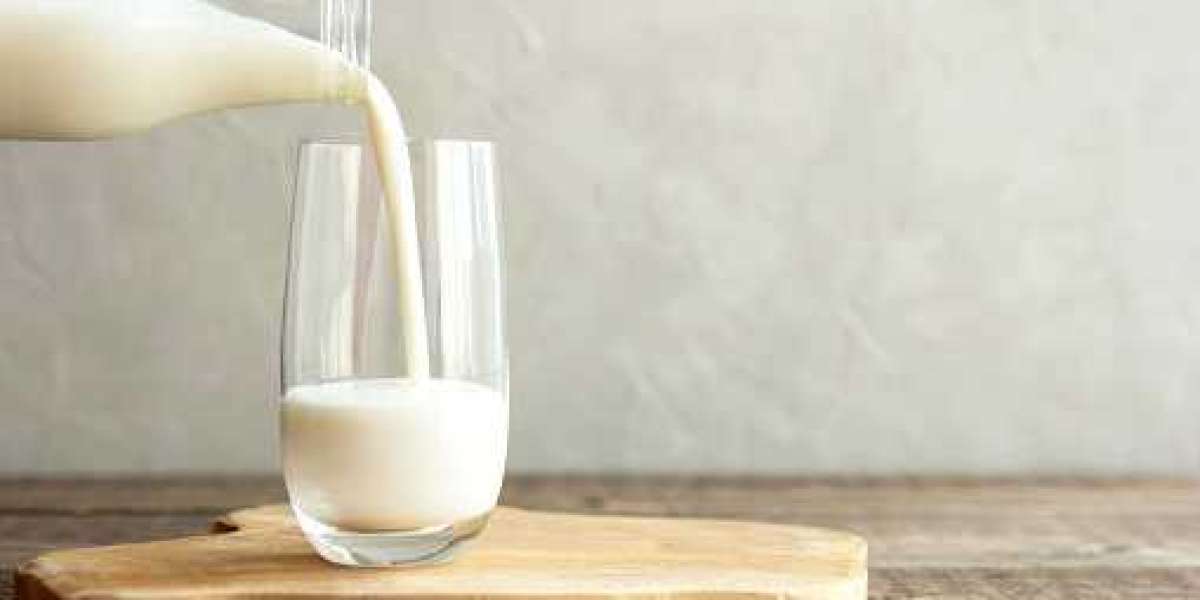 Milk Protein Market Insights: Growth, Key Players, Demand, and Forecast 2030