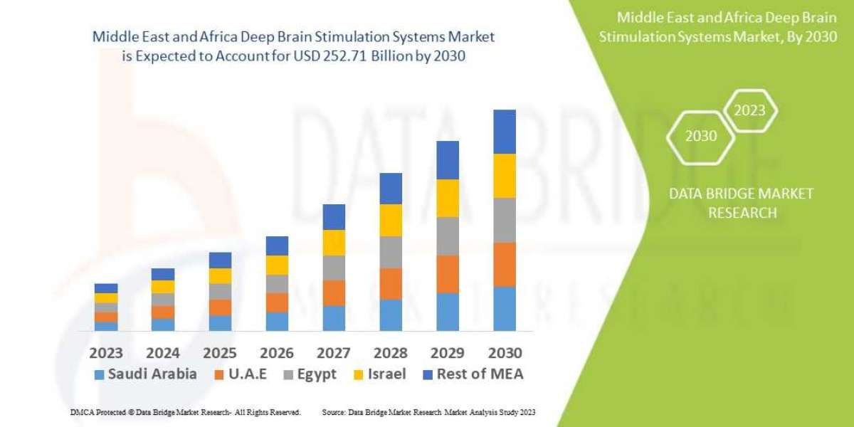 Middle East and Africa Deep Brain Stimulation Systems Market - Industry Size, Trends, Growth, Insights and Forecast 2030