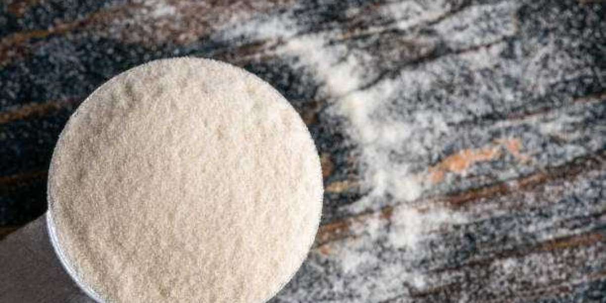 xanthan gum market  Share, Industry Growth, Trend, Drivers, Challenges, Key Companies by 2030