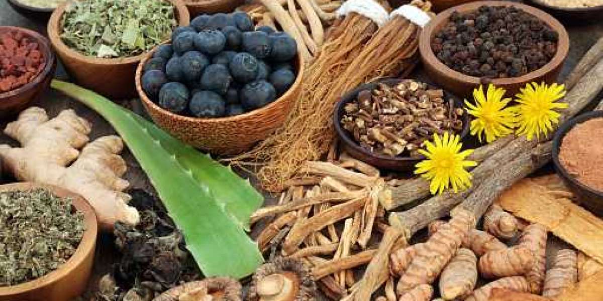 Medicinal Plant Extracts Market Share, Size, Trends, Growth Statistics, Forecast 2030