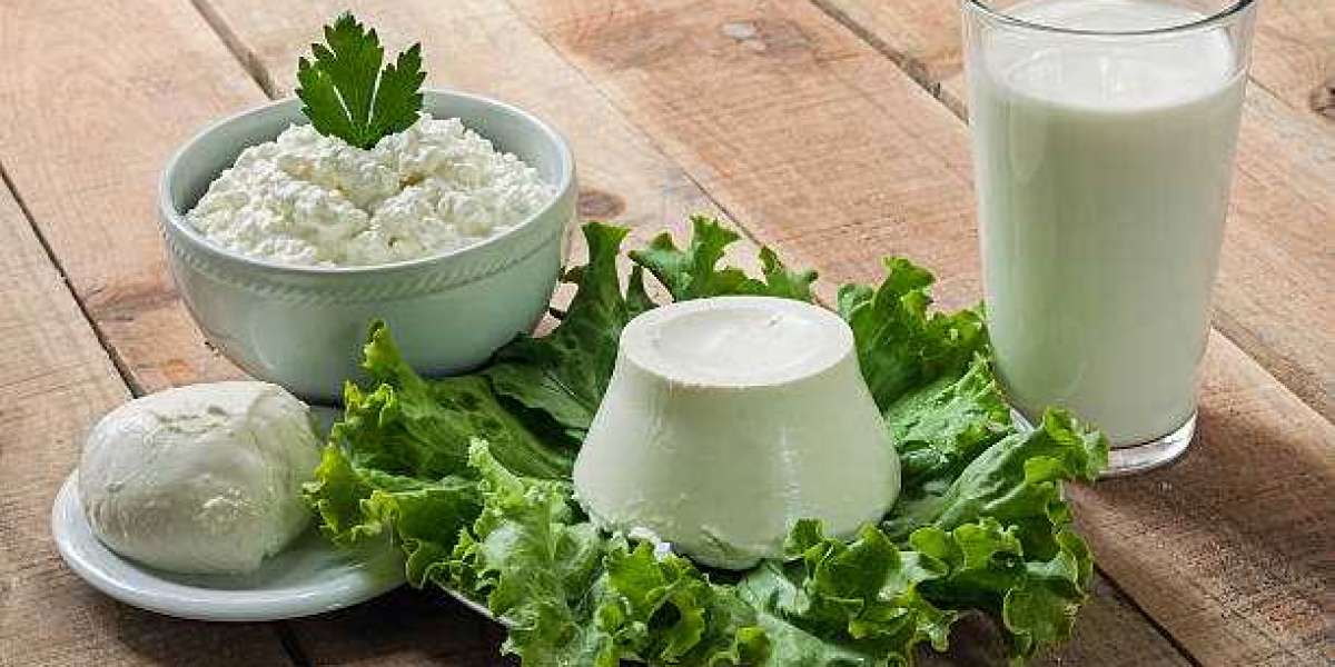 Key Lactase Market Players Size Analysis, Industry Outlook, & Region Forecast, 2030