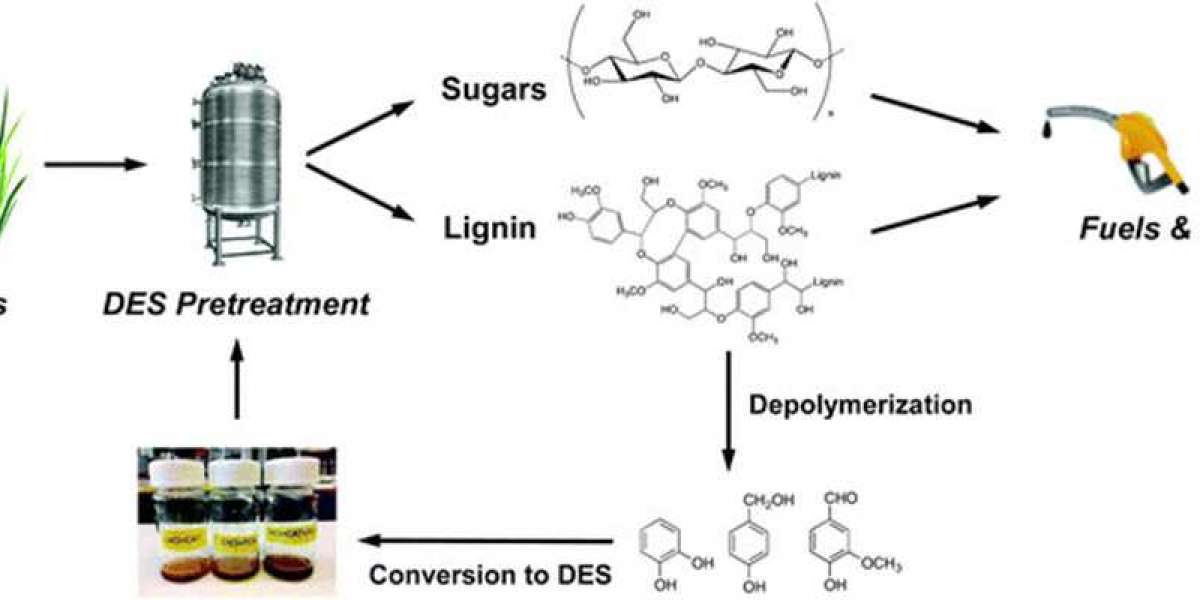 Renewable Solvents Market Size, Status, Global Outlook and Forecast 2022-2029