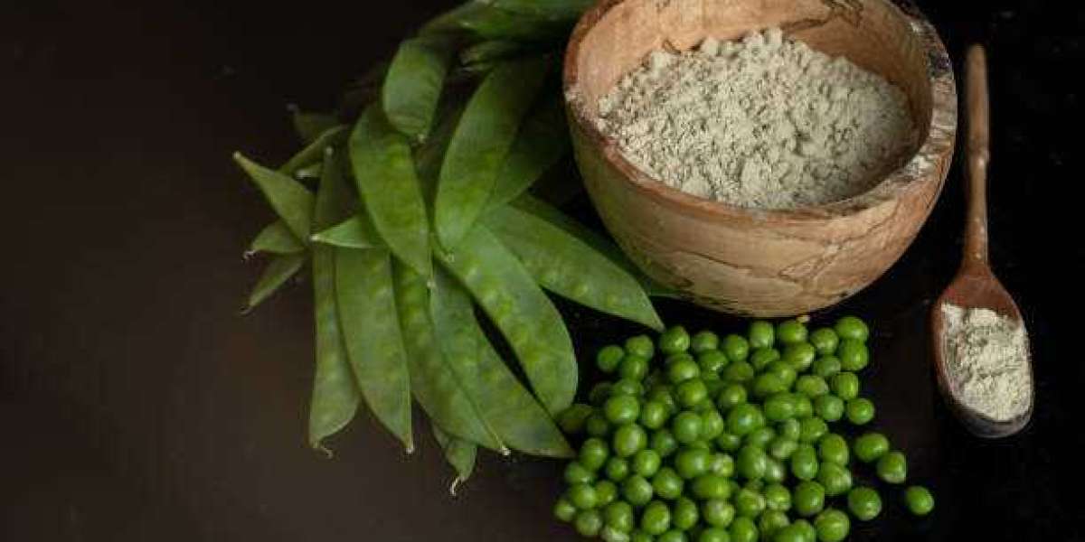 Key Pea Protein Market Players, Product Trends, Size, Revenue Share Analysis By 2030