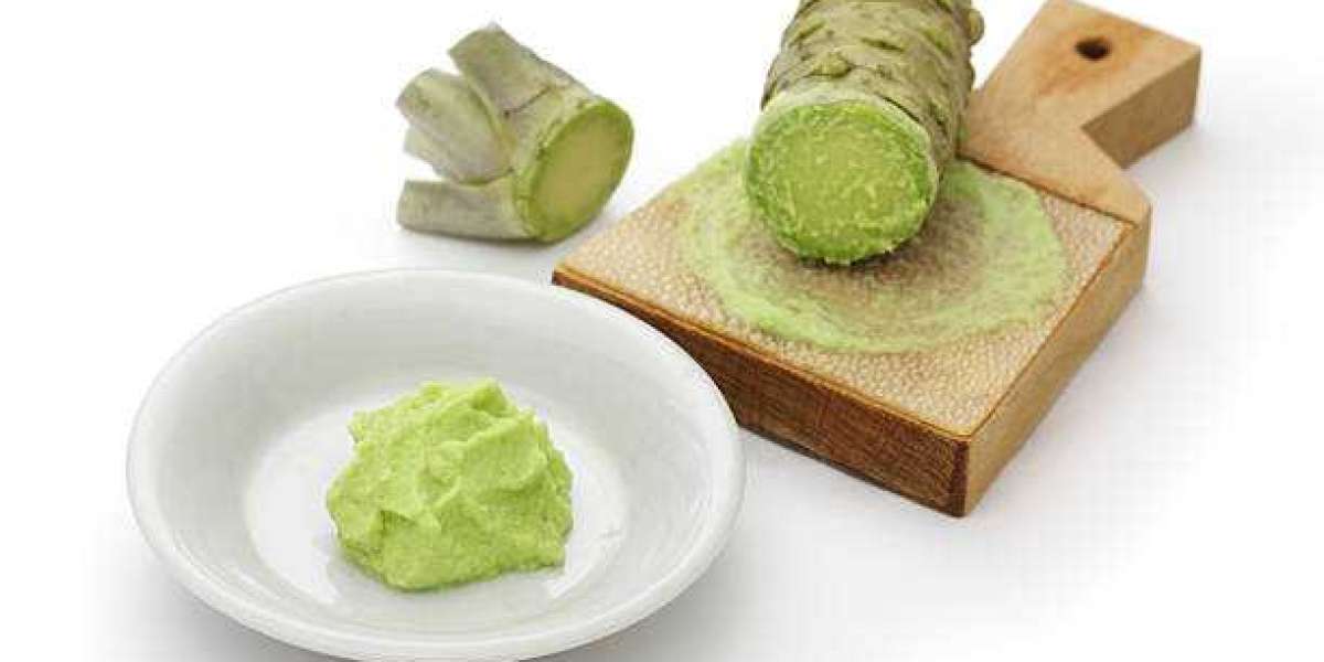 Wasabi Market Emerging Technologies, Industry Segments, Landscape and Demand by Forecast to 2030