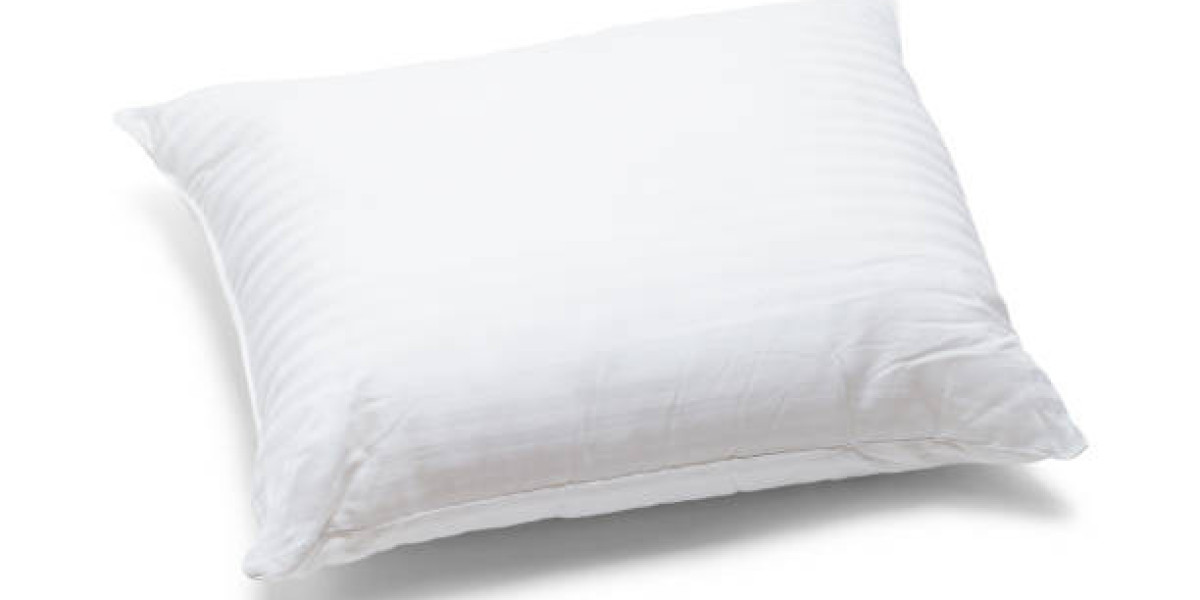 Sleeping Pillow Market Insights  Size Share, Competitor, by Report Forecast 2030