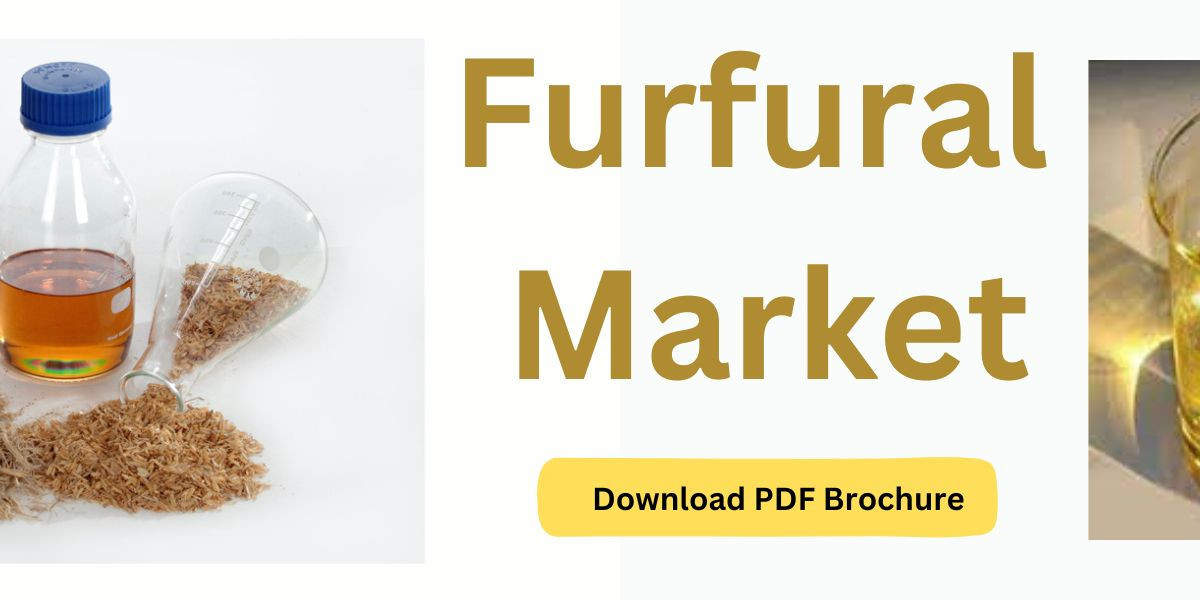 A Comprehensive Analysis of the Furfural Market: Key Players, Applications, and Growth Drivers