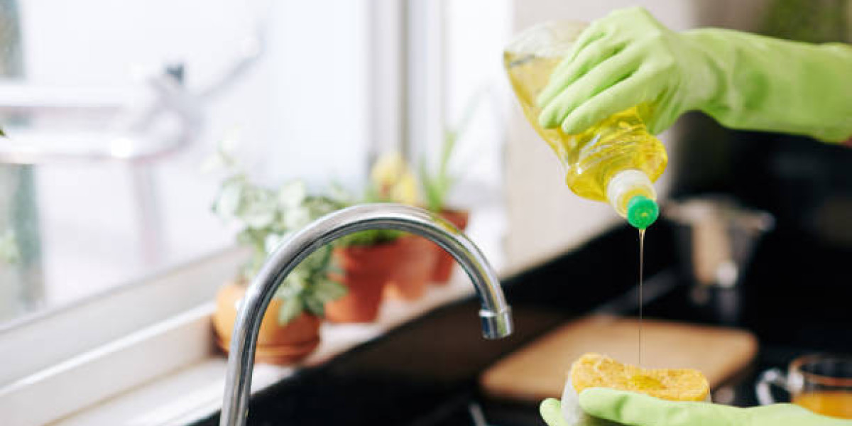 Dishwashing Detergents Market Insights: Drivers, Key Players, and Forecast 2030