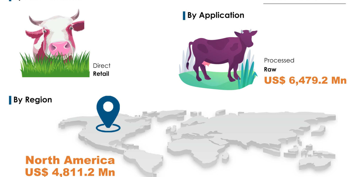 Grass-Fed Beef Market Poised for Stable Growth, Projected to Reach US$13.3 Bn by 2025