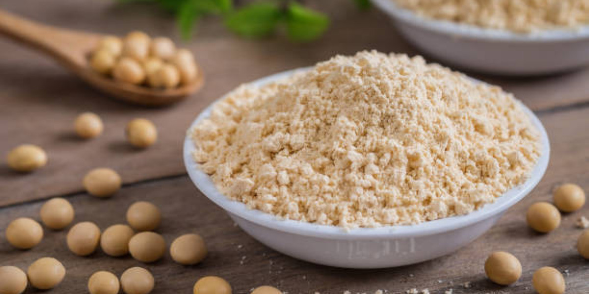 Soy protein ingredients Market Share Size, Share By Research Analysis, Growth By Forecast 2030