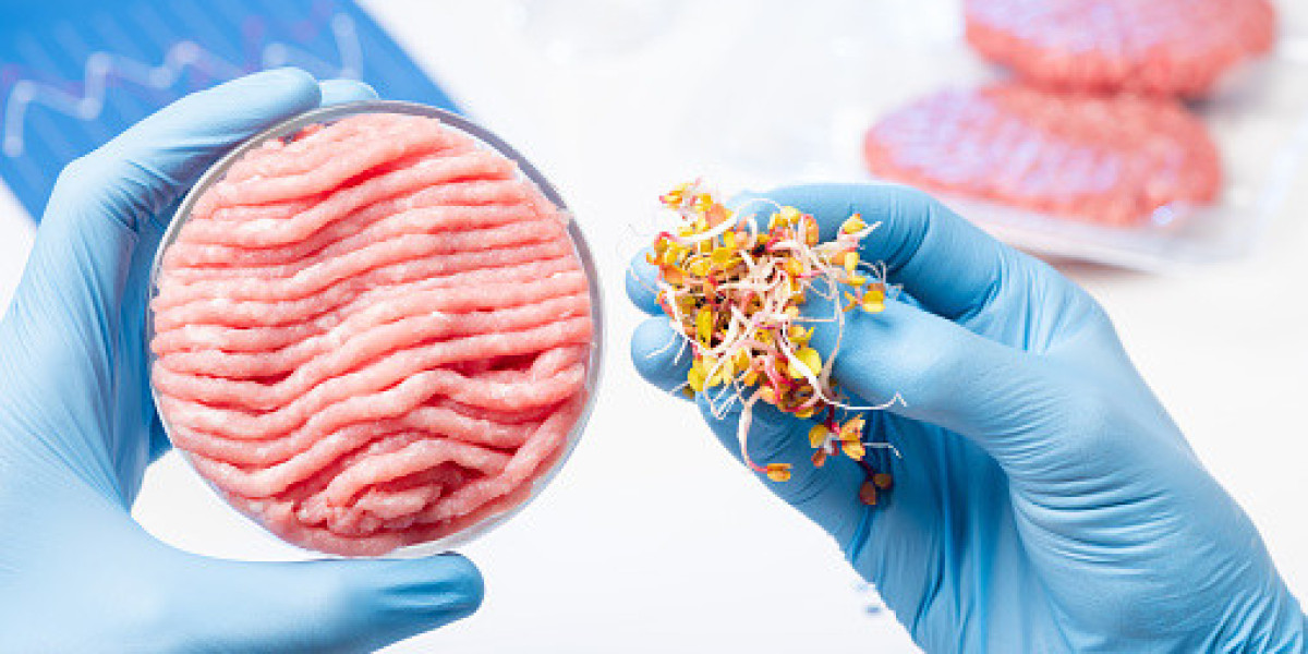 Lab-Based Meat Market by Competitor Analysis, Regional Portfolio, and Forecast 2030