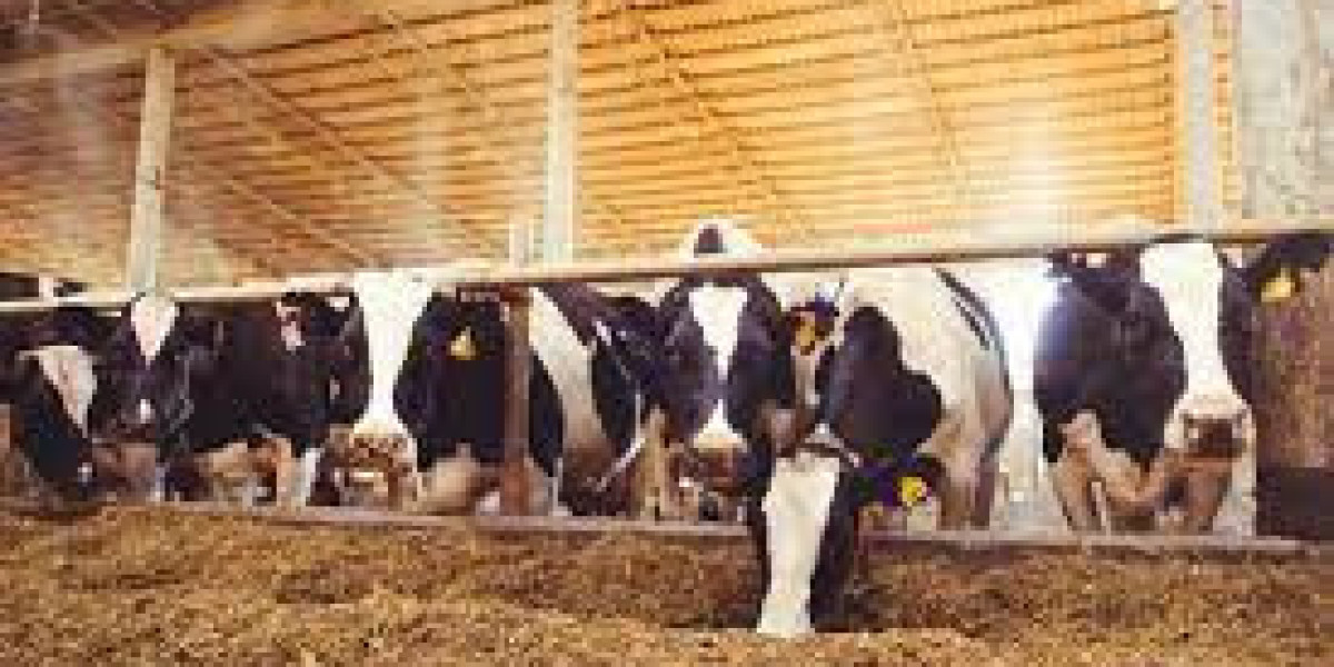 Cattle Feed Non-Protein Nitrogen Market Value with Status and Analysis 2022 to 2028